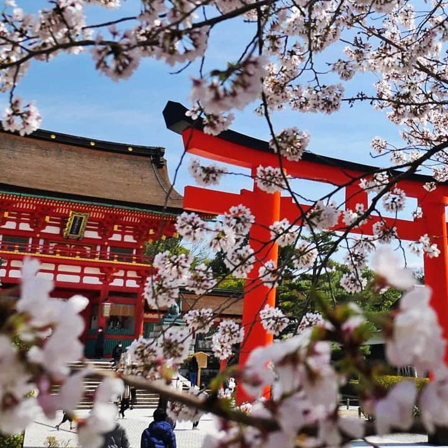 Kyoto Jujo 01 Daire Dış mekan fotoğraf